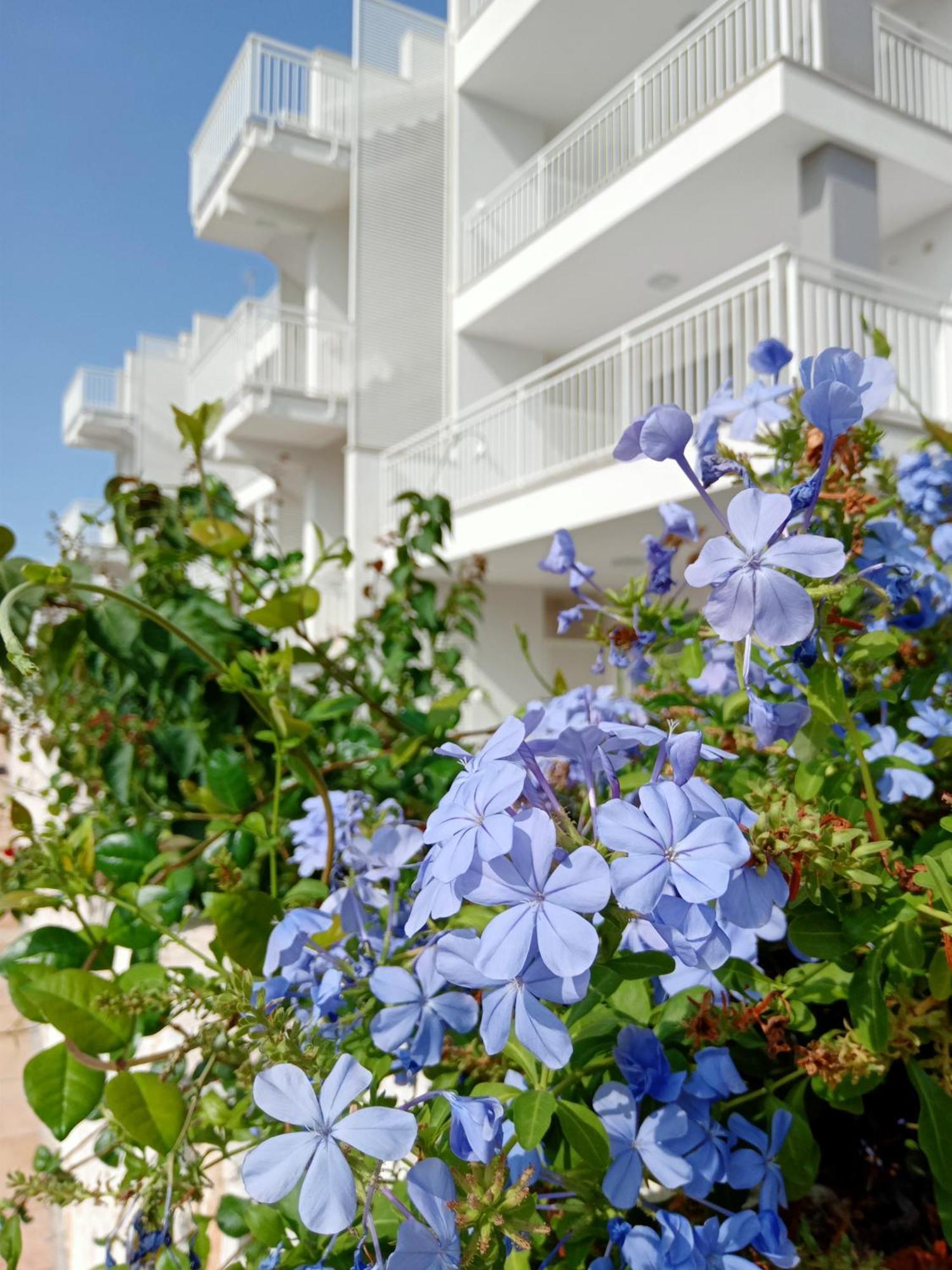 Color Dream Residence Monopoli Extérieur photo